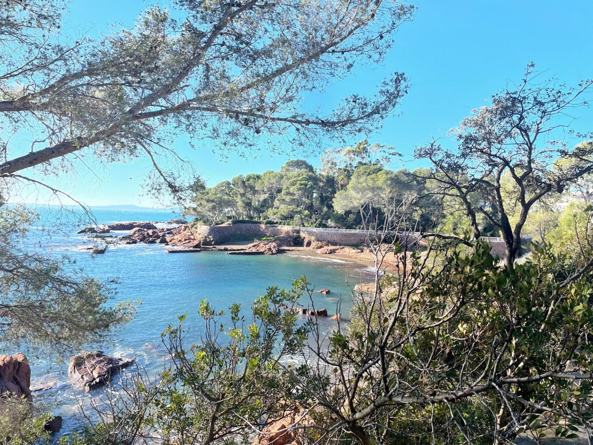 2 Pieces Saint Raphael Renove, Classe 4 Etoiles, 100 M Plages, Piscine, Tennis, Parc, Terrasse, Jardin Privatif Buitenkant foto